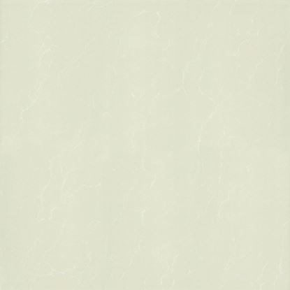 Picture of P67763N